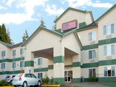 Comfort Southwest Hotel 3*